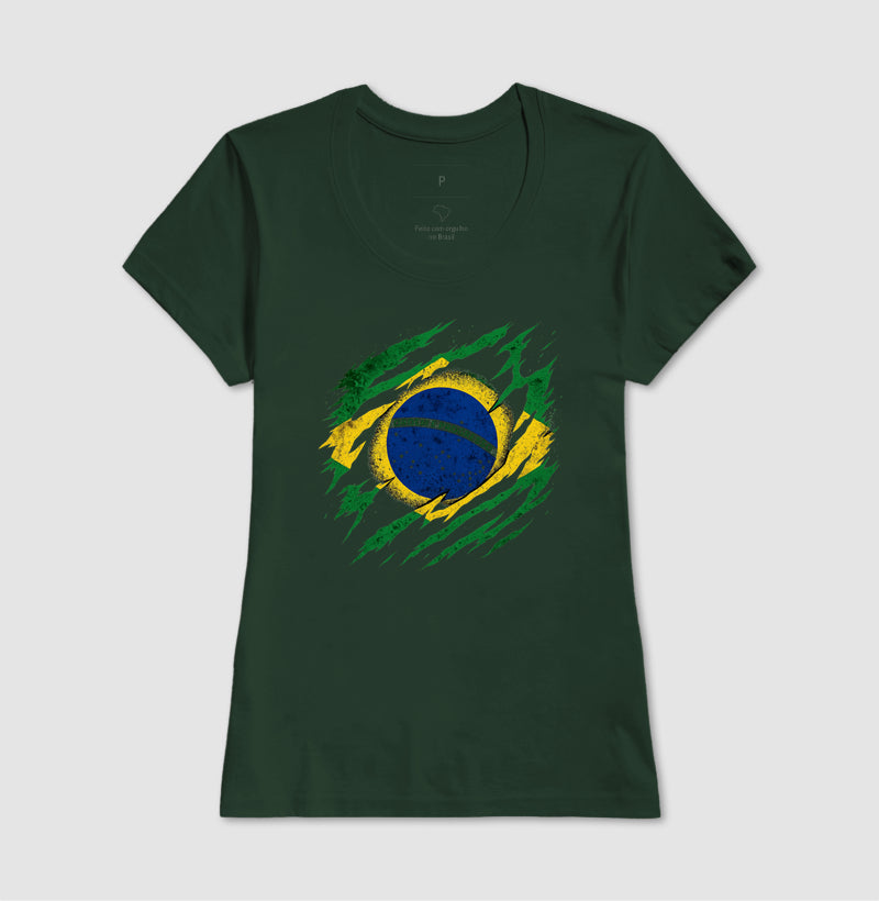 Ordem e Progresso